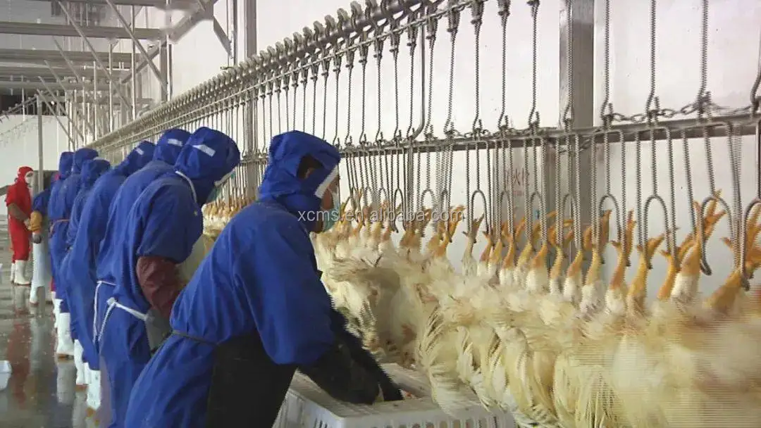 2022 hot sale Chicken Duck Goose Rabbit Pigeon turkey Poultry Processing Plant Slaughtering Equipment