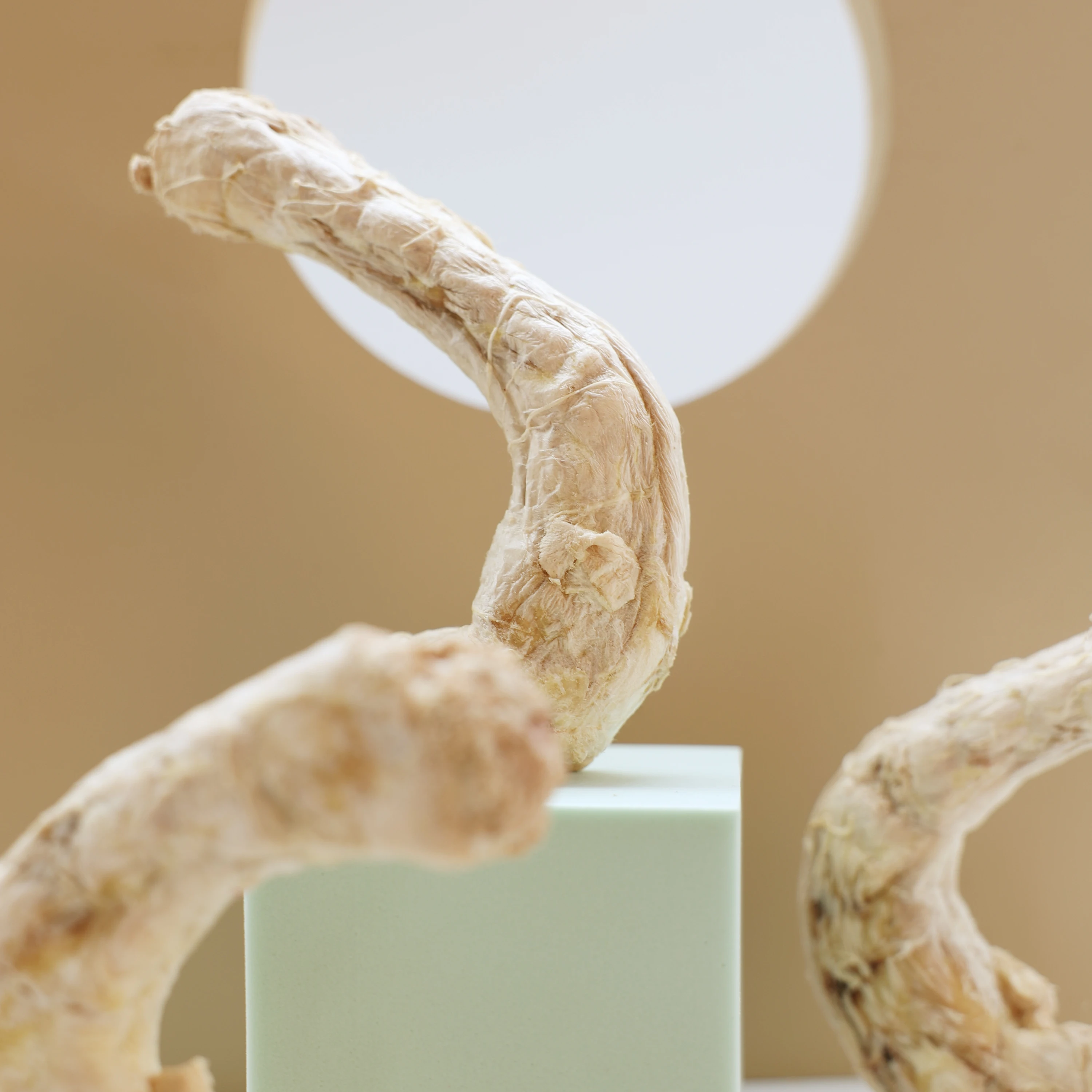 Ranova оптовая продажа еда для домашних животных кошек лакомство собак замороженная куриная Шея