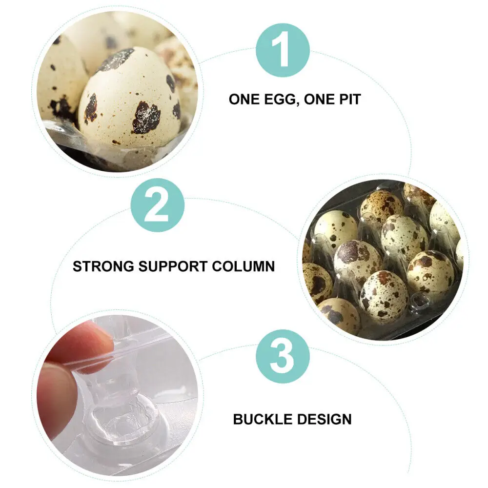PET Plastic Jumbo Quail Egg Tray Packing Blister 12 18 30 Holes Supplier Vacuum Formed Quail Eggs Tray Boxes