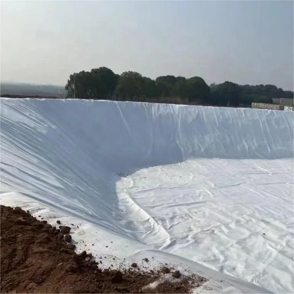 100g 150g landfill reservoir artificial lake tailings dam tunnel lining geotextile compounded with hdpe geomembrane liner