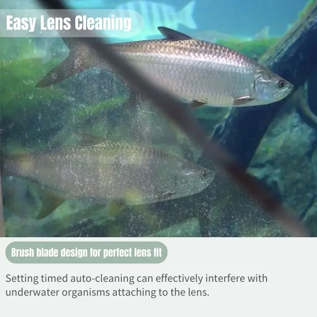 High definition underwater network camera with self-cleaning function