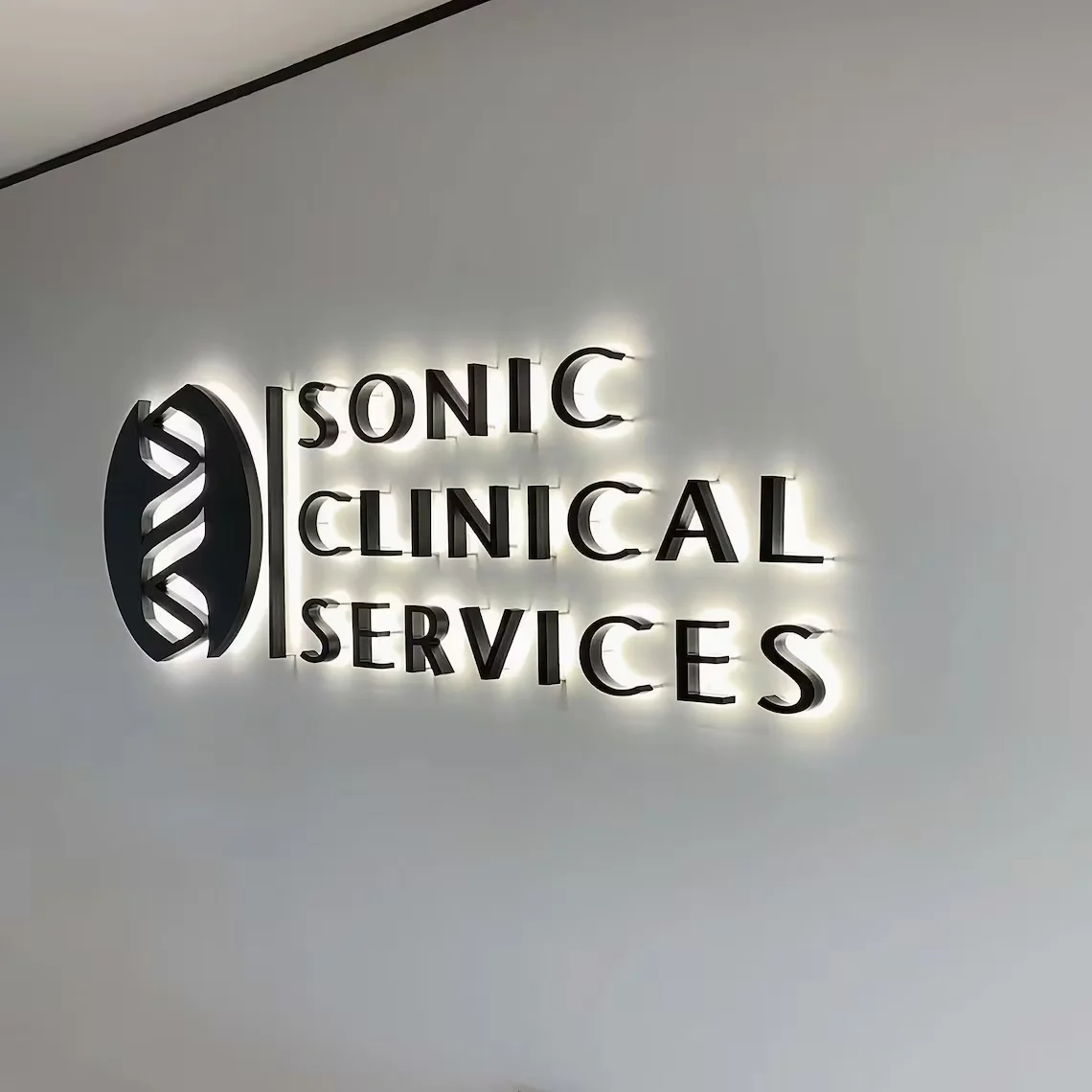 Custom Outdoor Custom Business Logo Signages 3D Backlit Letter