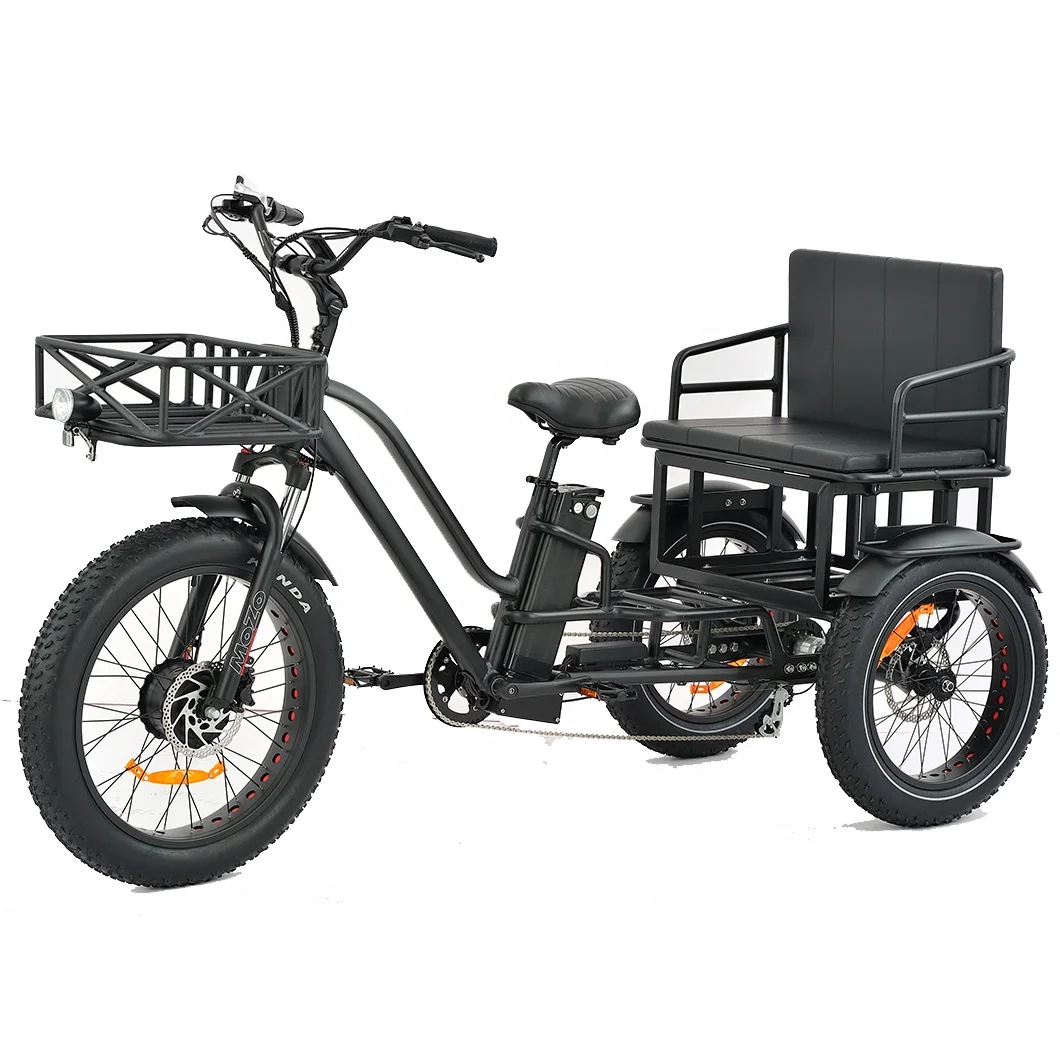 T14 Family Cargo Electric Tricycle Fat Tire 2 Person Electric Trike 3 Wheel Electric Bike Manned Tricycles