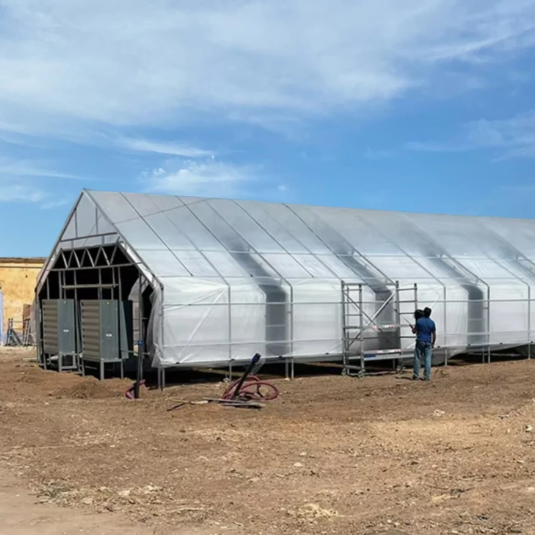 Commercial greenhouse frame single span tunnel greenhouse automated blackout Light Deprivation green house used for sale