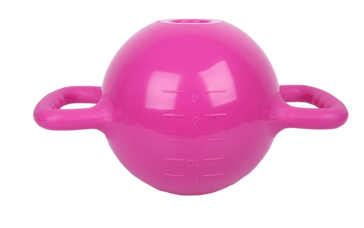 
Exercise Fitness Yoga Training Weight Water Double Ear Kettle Bell 