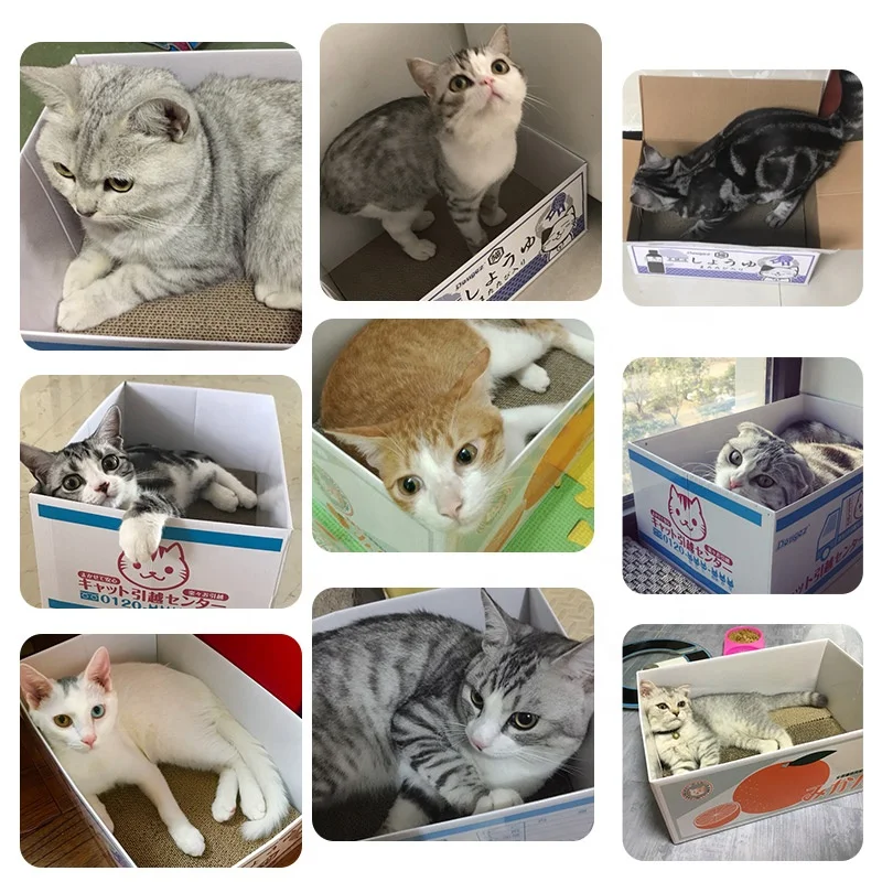 
carton cat box toy cardboard cat scratcher box 