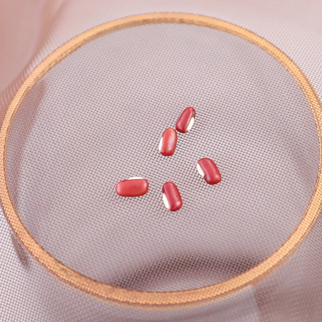 Coffee side opening magnetic door screen Magnets Lows To Keep Out Bugs And Let Fresh Air In