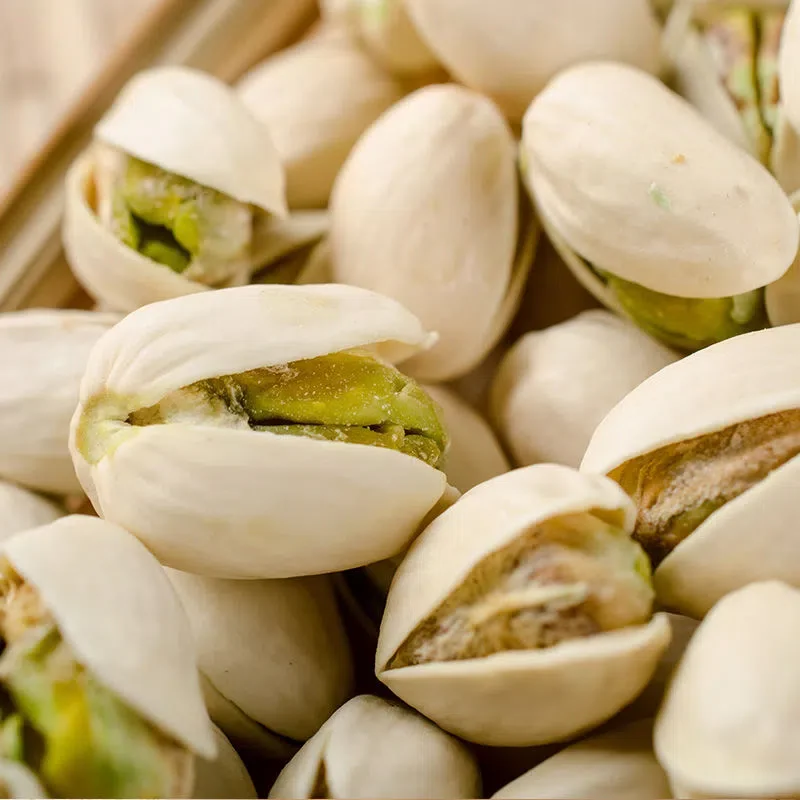 Wholesale Good Quality Low Price Raw Salted Pistachio Nuts