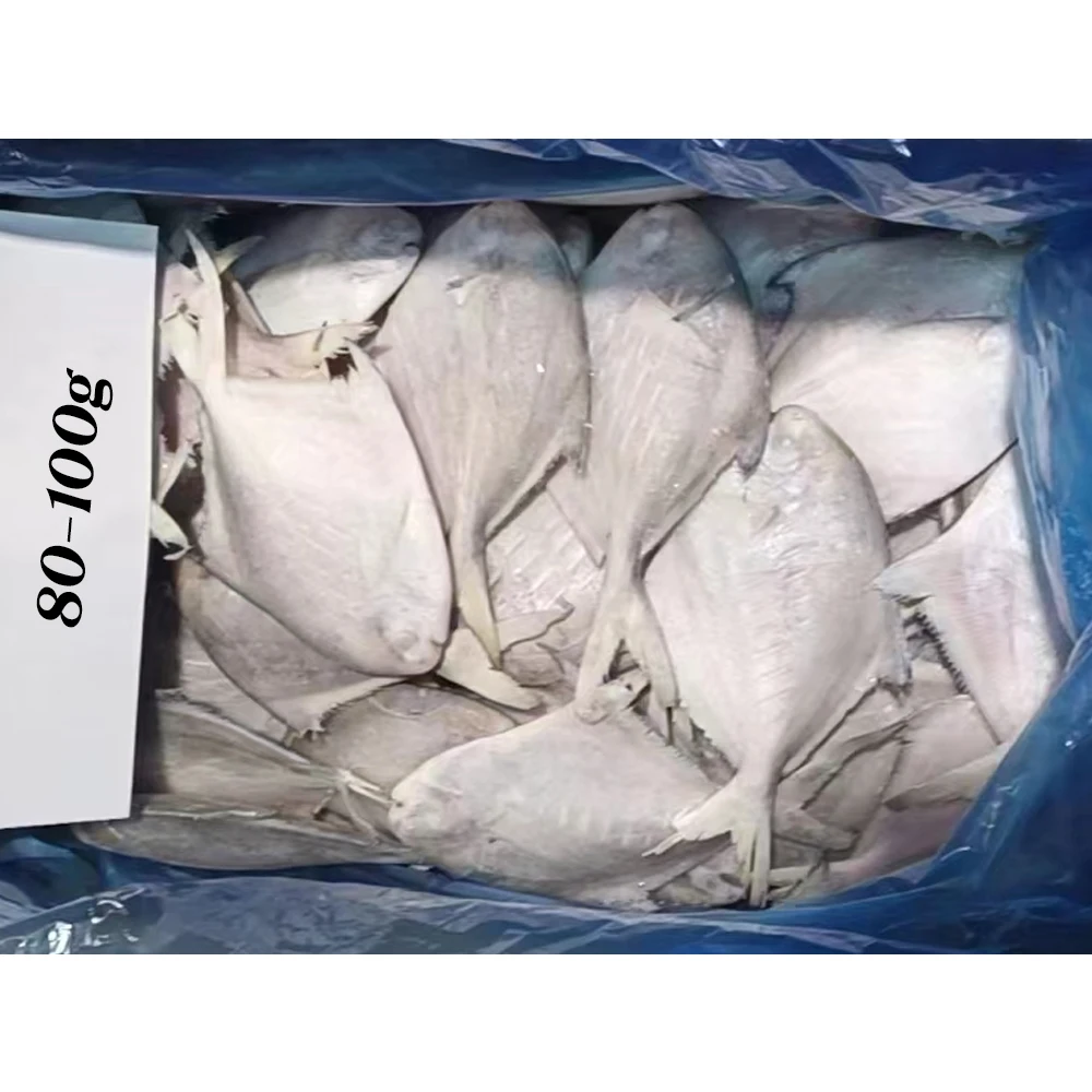 Frozen pomfret fish frozen white pomfret fish frozen silver pomfret fish