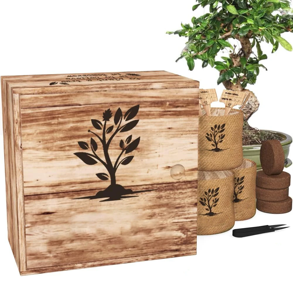 Wholesale Custom Bonsai Tree Plant Kit Home Garden Indoor Herb Grow Garden Kit Diy Craft Kits For Adults Kids Plant Lovers