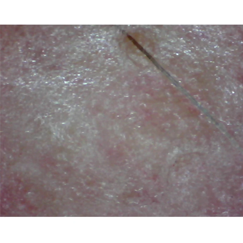 New 800x Beauty Jewelry High definition Usb Digital Microscope Mini Camera Portable Usb Microscope Magnifier