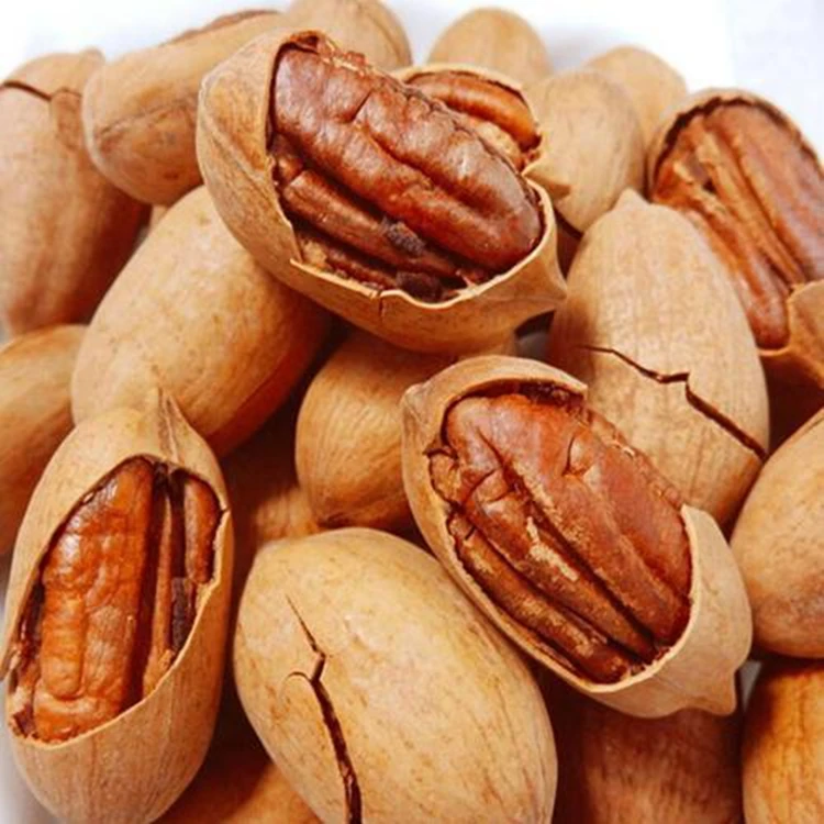 Original Roasted raw fresh pecans hot Office Nuts snacks top grade pecan kernel bulk pecans for sale