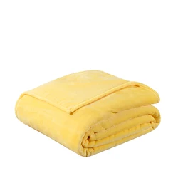 Factory Wholesale Custom Cheap Soft 100% Polyester Microfiber Solid Twin Queen King Size Winter Warming Flannel Fleece Blanket