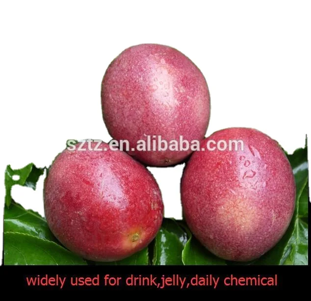 High concentrated  food flavor halal  grade liquid flavor concentrate Passionfruit flavor