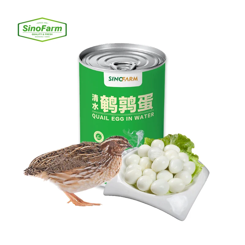 Canned food of quail egg for eating in tins canned boiled quail eggs in brine 425g x 24
