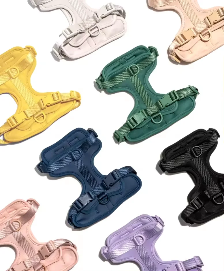 Custom Logo Luxury Dog Collar Pet Walk Kit Leashes Adjustable Waterproof Neoprene Soft PVC Silicone Dog Harness and Leash Set