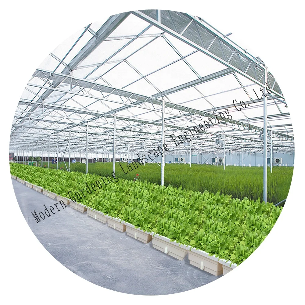 Plastic flower pot trays and new factory will be directly operated