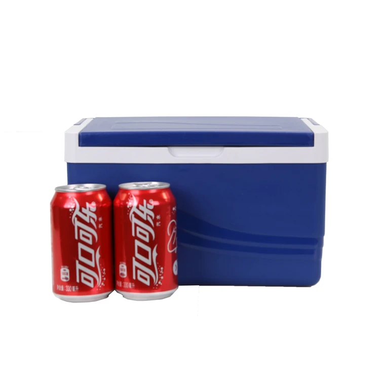 Портативный холодильник GINT, 5 л, мини-размер, оптовая продажа, китайские поставщики, охлаждающий контейнер хорошего качества