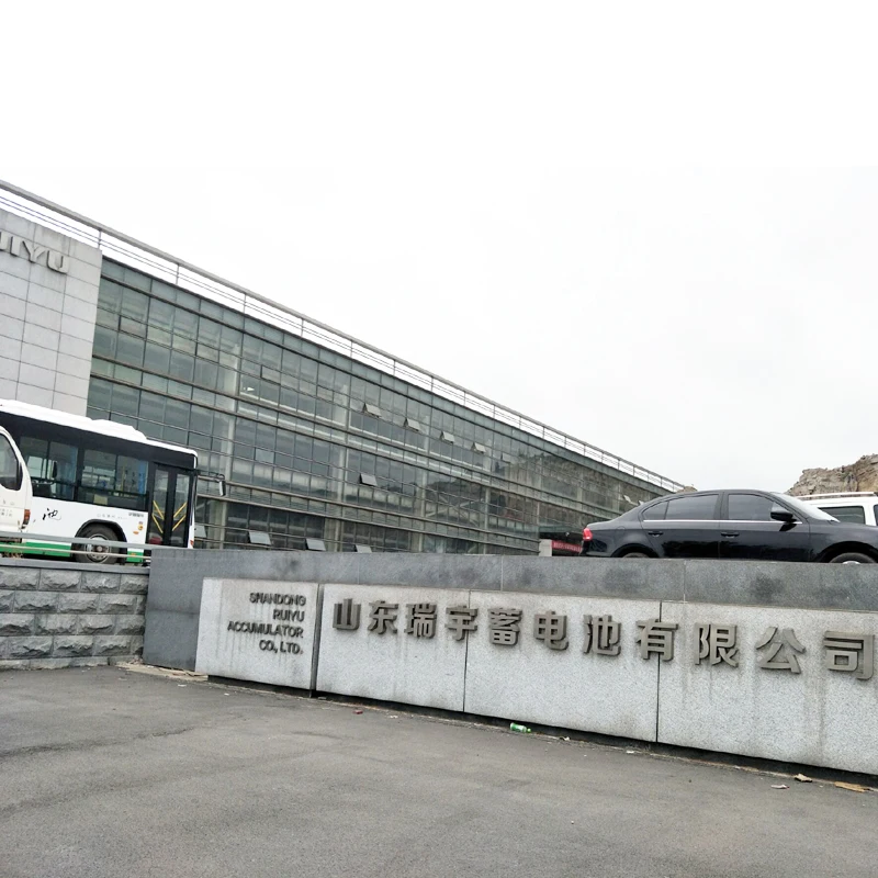 shandong ruiyu battery truck battery RUIYU N200 SMF