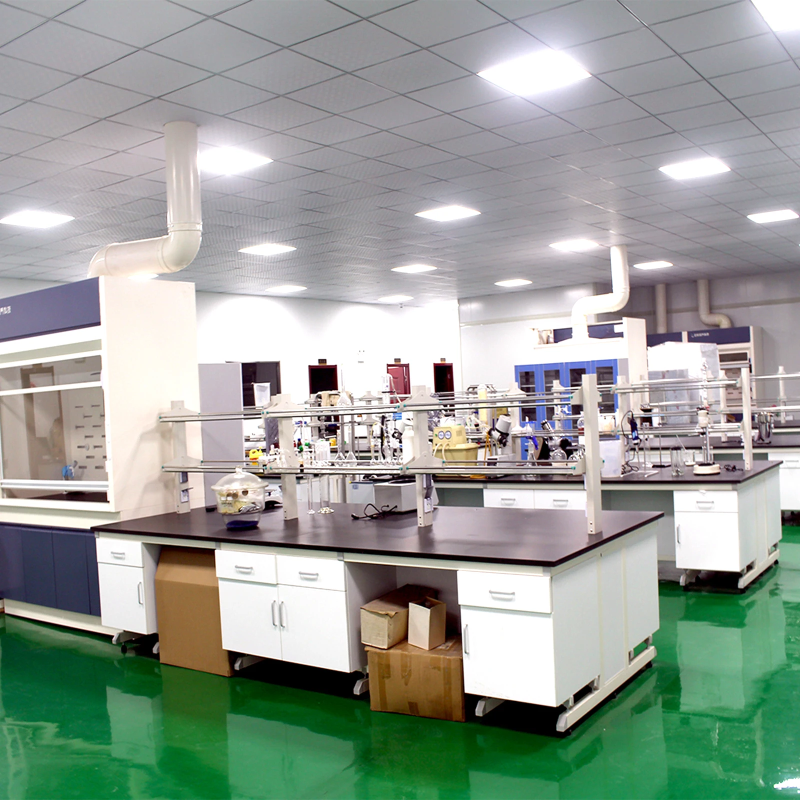 Malaysian Ginseng Male Enhancement Health Booster Tongkat Ali Root Eurycomanone 1% 2% Customization