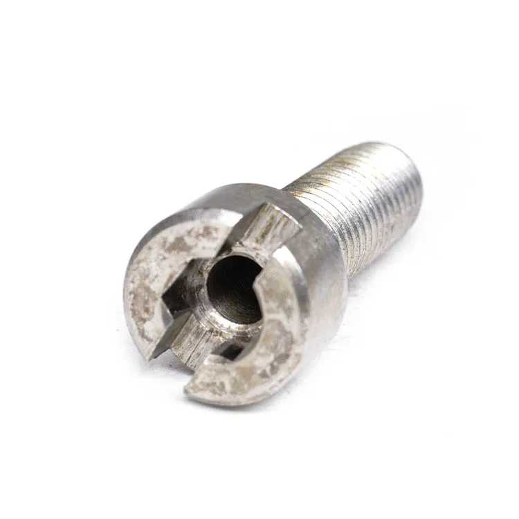 Screw manufacturer OEM Custom Stainless Steel Hollow Slotted Screws with Full Thread titanium screw