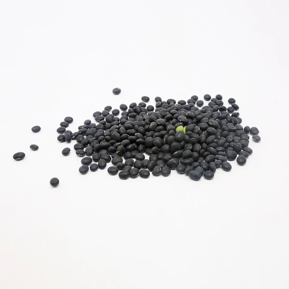 Organic Black Soya Beans with Yellow Kernels