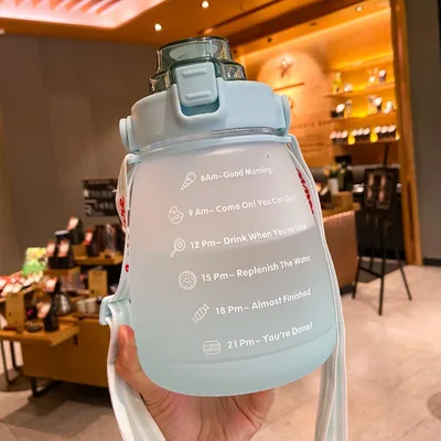 Fashionable Pot-bellied Water Cup Gradient Frosted Portable Anti-fall High-color Plastic Straw Wholesale Products