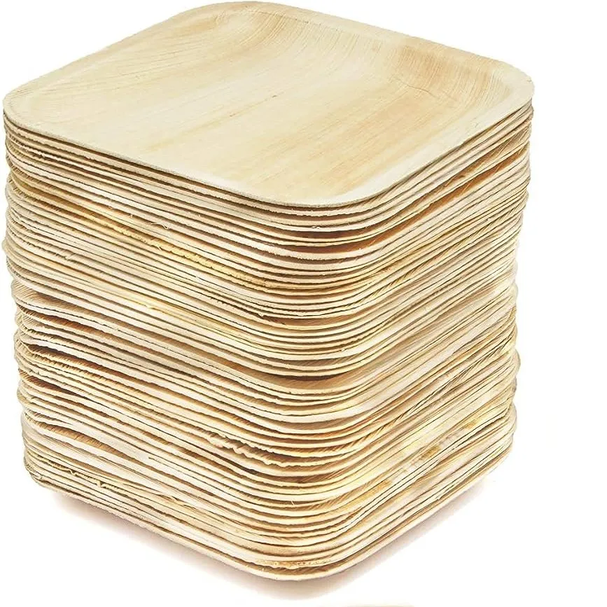 Palm Leaf Plates Bamboo Disposable 8 Inch Square Party Pack Compostable Biodegradable Eco Friendly Wooden Plates for Children