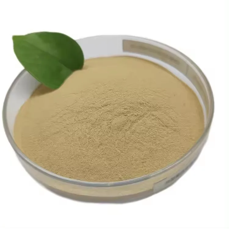 High quality High Protein 60% Best Selling Extract From fresh Yeast powder