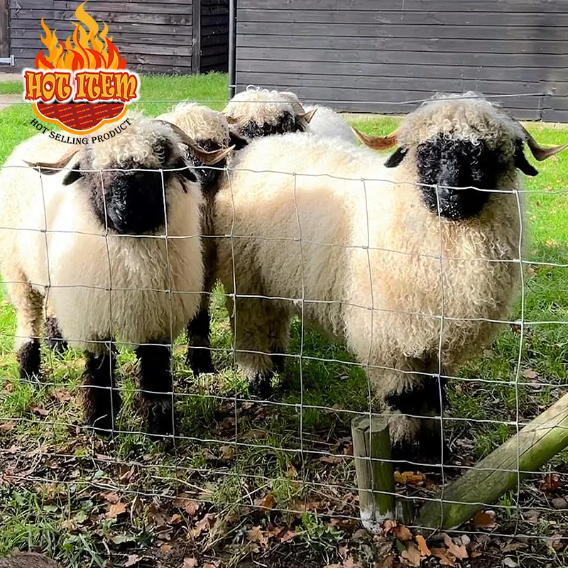 Hot Sale Security Fence for Cattle Goat Cow Sheep Easy Assembly High Style Galvanized Frame Renewable Woven Technique Good Price