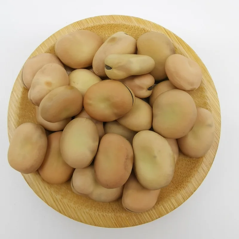High Quality Broad Bean Fava Bean faba beans
