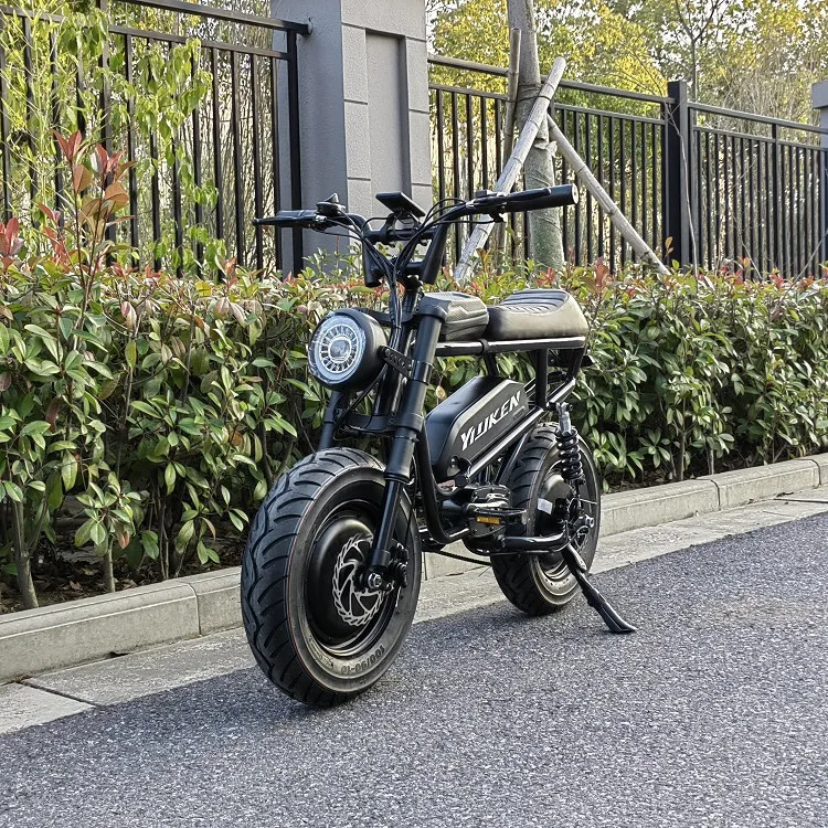 48v 500w/750w/1000w super bike hub motor 16*4.0 inch fat tire two seat electric bike Moto Electrica 73 ebike