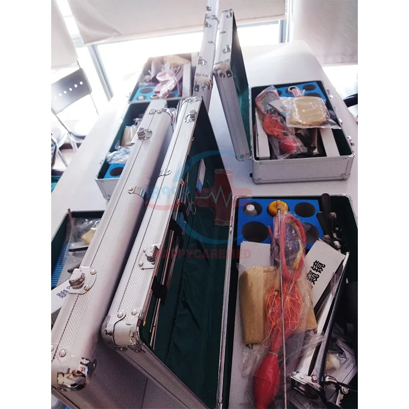 HC-R085 Veterinary Portable AI Kits Cattle Cow Sheep Big Animal Goat Pig Artificial Insemination gun Equipment Box for cattle