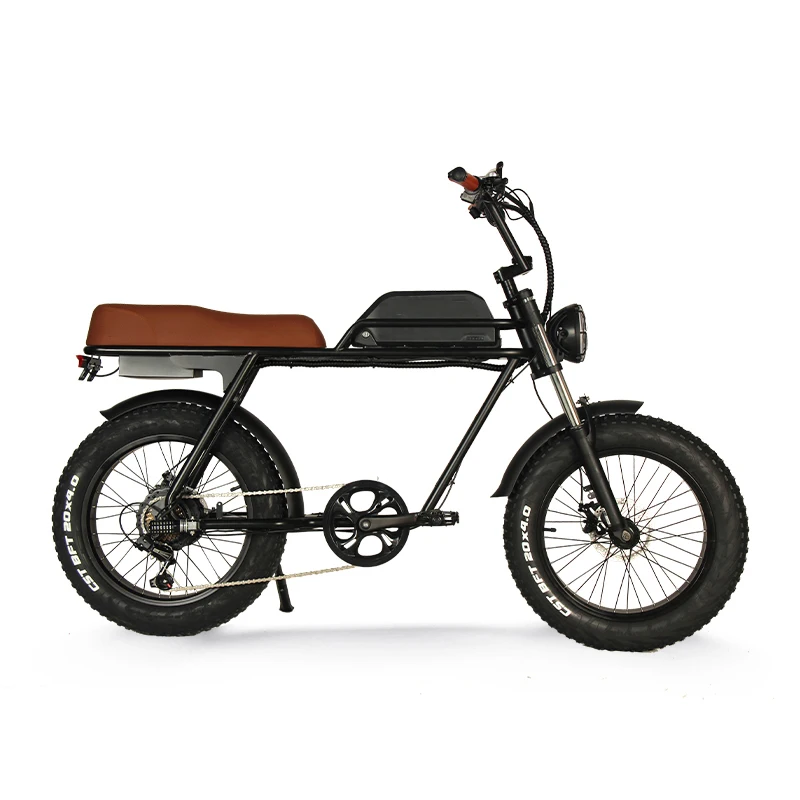 ADN-X6 48V 10.5Ah 500W Rear Hub Motor Retro Electric City Bike Bicycle Mountain Ebike 20Inch Frame Road EBike Fatbike