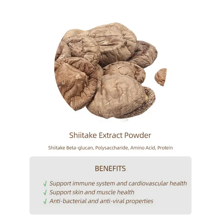 Lentinan raw material powder Shiitake Extract Powder