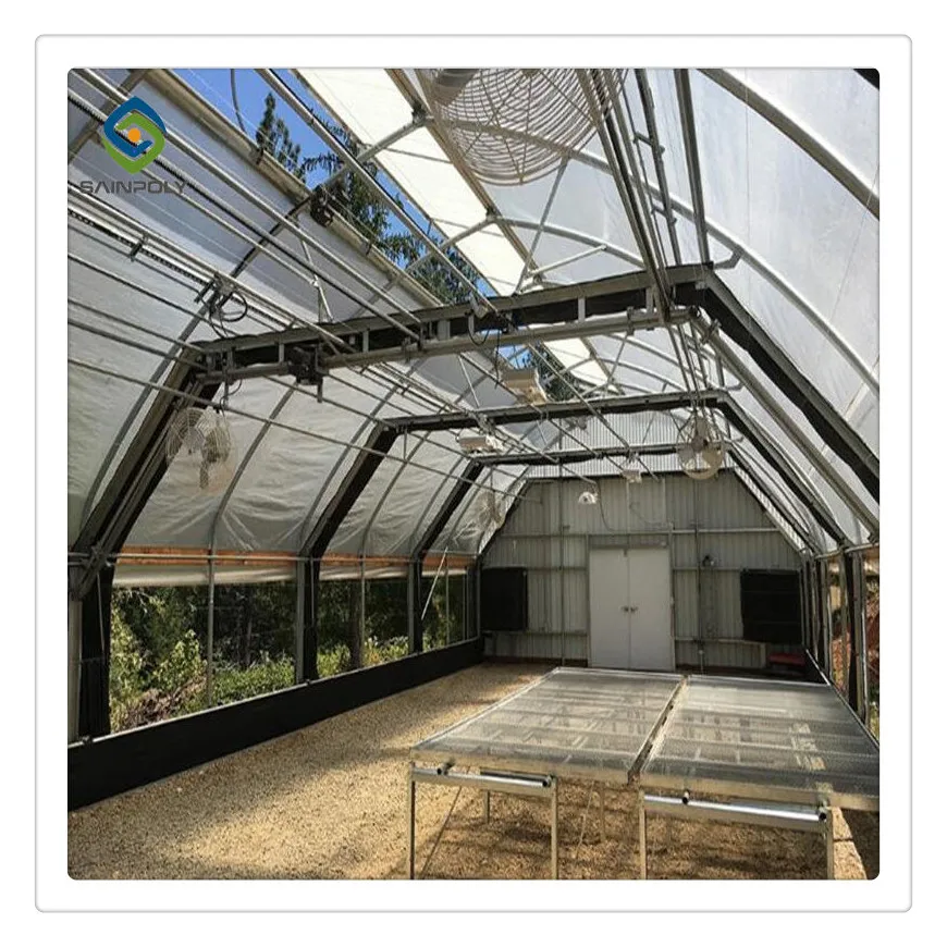 Бюджетный свет лишения плотные теплиц для сельского хозяйства теплицы