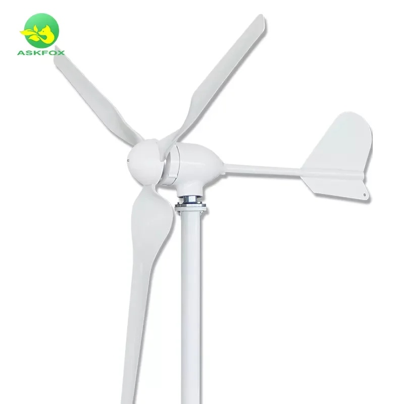 Factory Customized Professional Wind Power Generator Low Wind Power Generator 1kw Wind Turbine 1KW   2KW 3KW 5KW 10KW