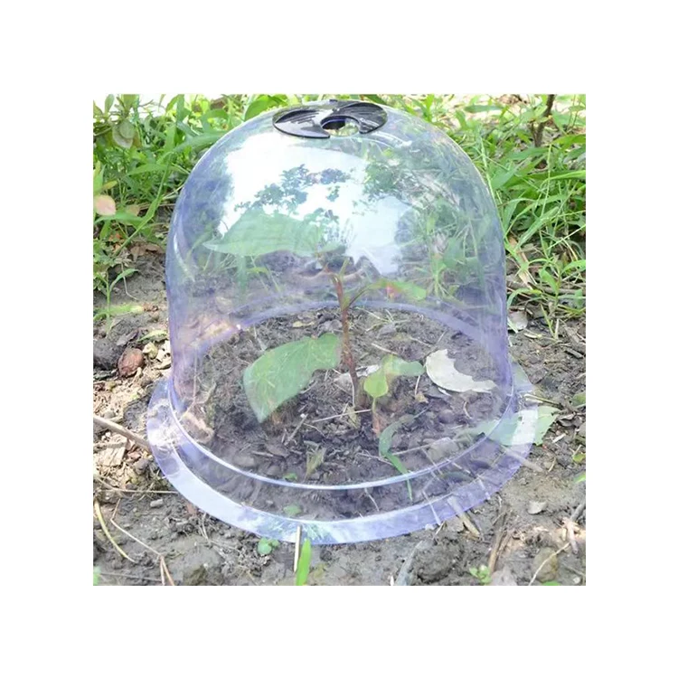 Super Quality Plastic Cloche Jar Plant Terrarium Indoor Plant Bell Cover