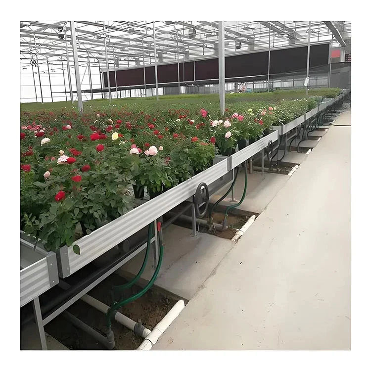 Multi-layer system new high-quality seedling bed rolling table corrosion-resistant and wear-resistant tidal