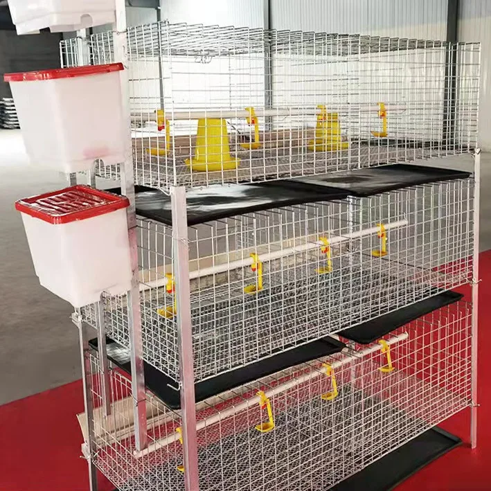 good sale battery cages for poultry chicken layer