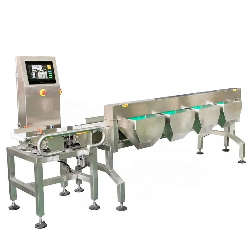 Automatic Weighing Machine Conveyor Belt Dynamic Checkweigh Food Scale Digital Linear Check Weigher Machine