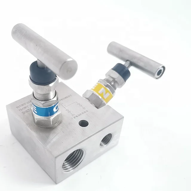 Double Block Female NPT Flange valves 2 Way Manifolds