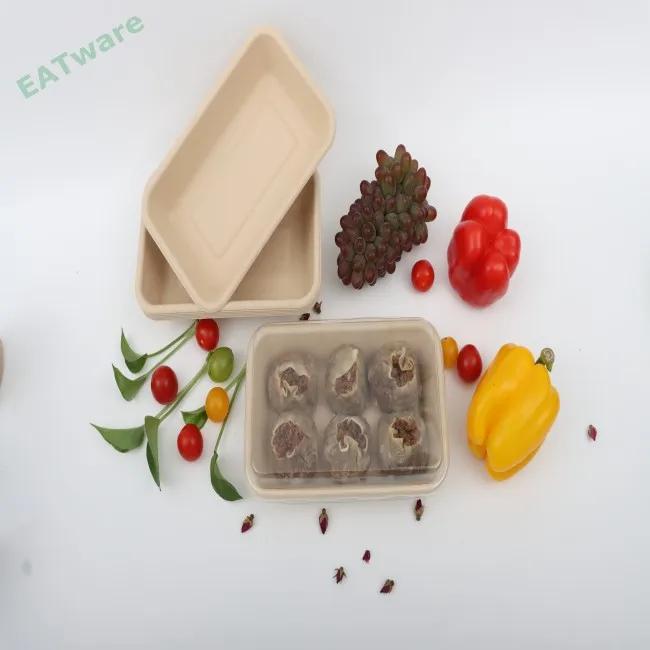 Factory Wholesale Customized Green eco friendly food tray disposable bamboo food tray biodegradable bamboo tray