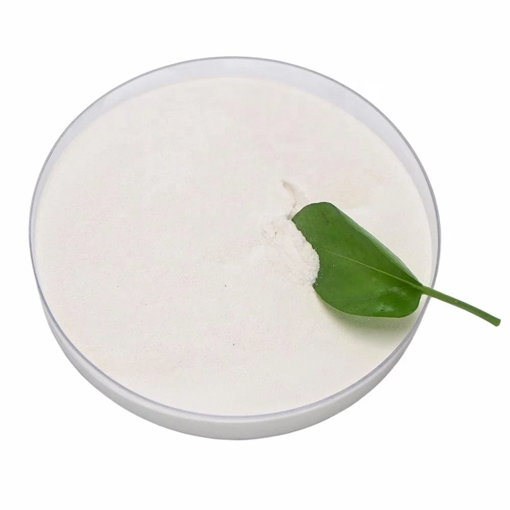 HWZK Redispersible ethylene vinyl acetate polymer EVA powder tile adhesive putty