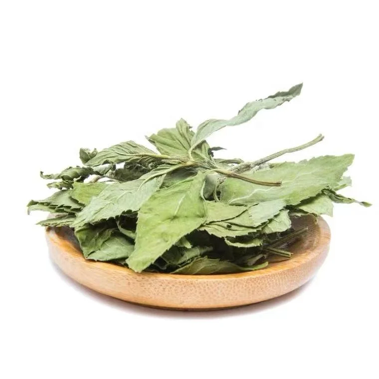 
High Quality Herbal Dried Slimming Mint Leaves Peppermint 