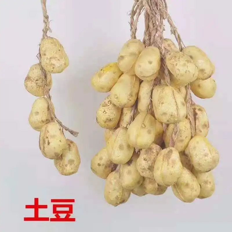 Plastic Artificial Onion Garlic String Fake Vegetable Home Party Christmas Harvest