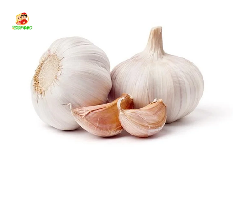 high quality export wholesale good price Normal white garlic bulk for sale from China