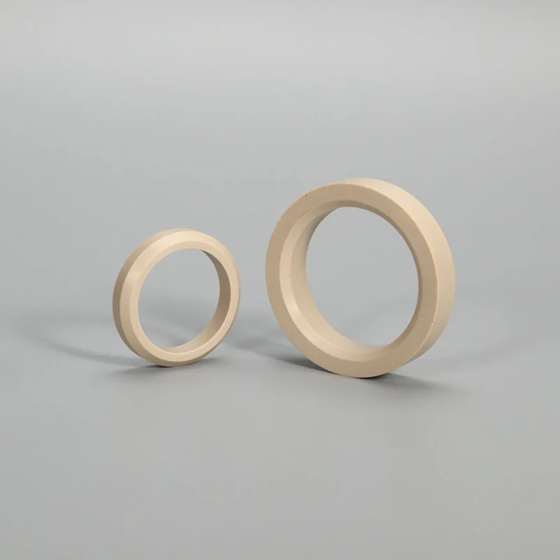 PEEK Plastic Retaining Seal Rings