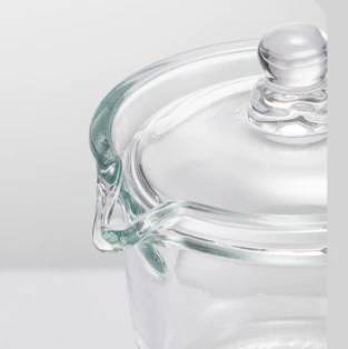 Heat Resistant Glass Teapot Coffee Pot with Glass Infuser and Lid Infusion Tea Pots