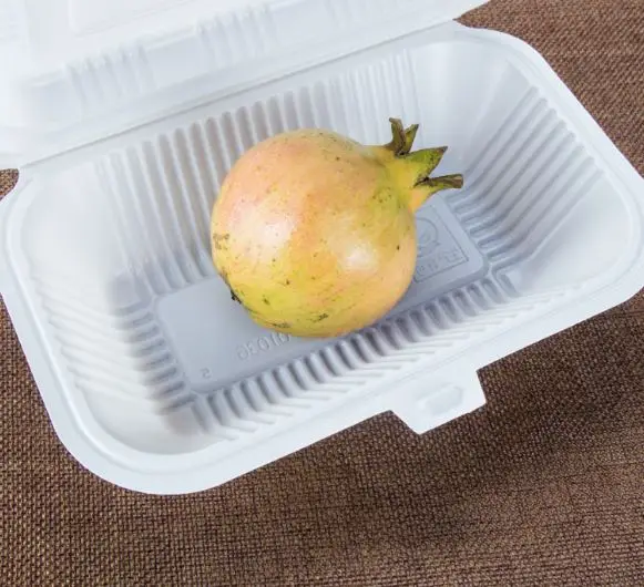 plastic chinese disposable take out polypropylene plastic pp food box